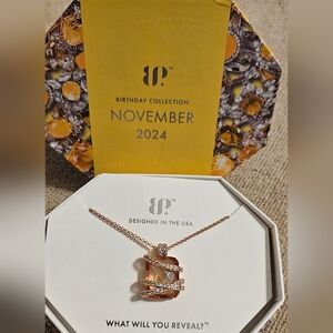 Intertwined In You Bomb Party Necklace November 2024 Birthday collection